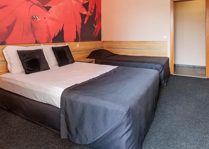 Otel семеен опера 3*